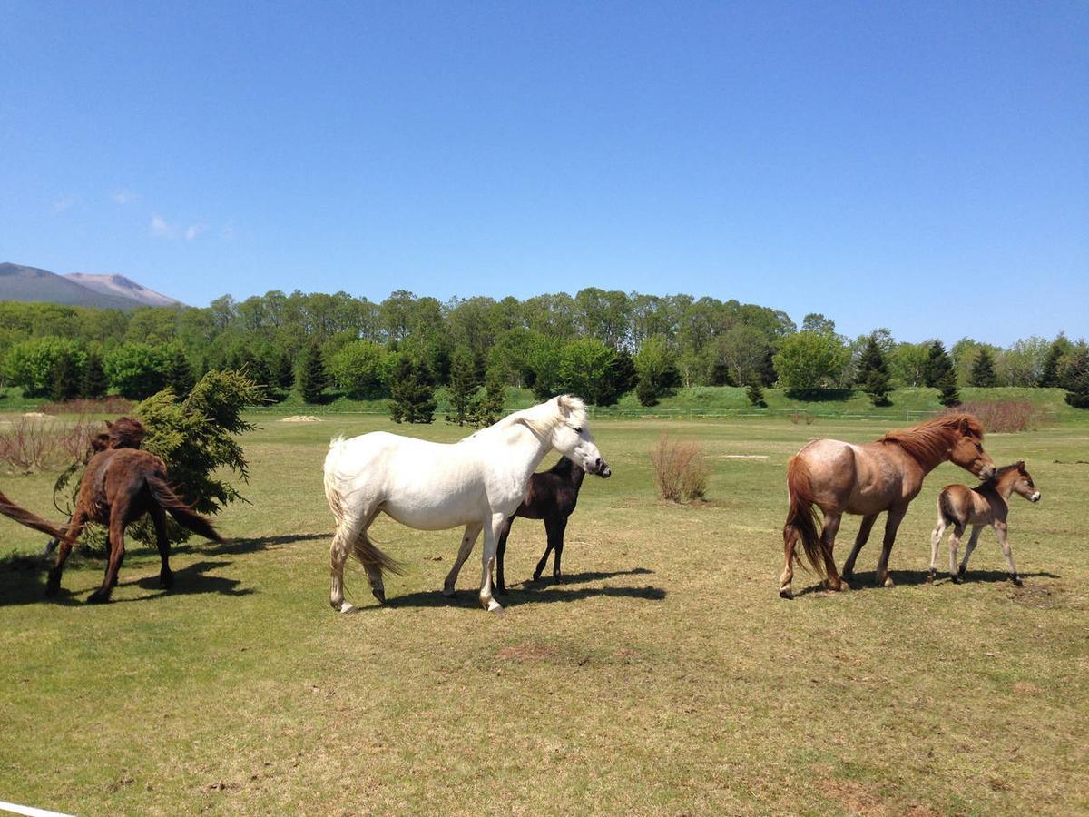 Paard Musee Guest House Nanae Bagian luar foto